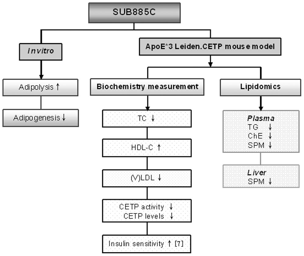 The summary of SUB885C effects.The effects of SUB885C were illustrated both in vitro and in ApoE*3Leiden.CETP mice with biochemical and lipidomics measurements. The improvement for insulin sensitivity was result from Wang et al. [7].