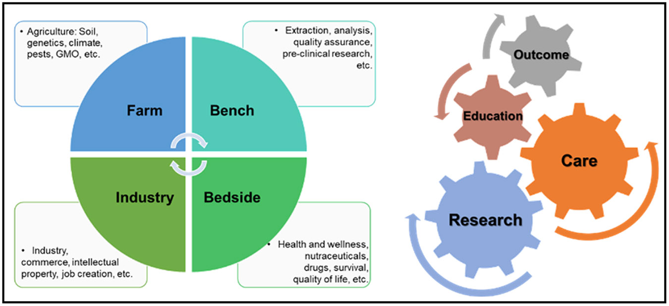 International Phytomedicine and Medical Cannabis Institute model.