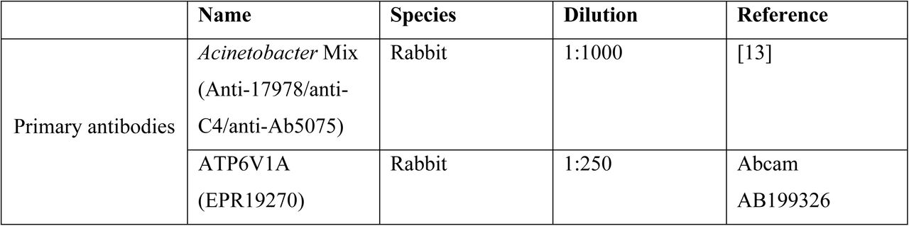 List of antibodies and dyes used in this study.