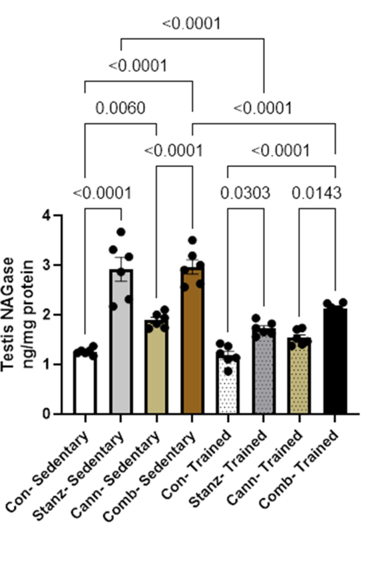NAG levels in testis tissue across different experimental groups: Control (Con), Stanozolol (Stanz), Cannabis (Cann), and Combined treatments (Comb), with each group further exposed to Sedentary and Training conditions. Data are expressed as mean ± SEM; Significance was tested at p < 0.05 using one-way ANOVA followed by Tukey’s post hoc test for comparison (n = 6/group).