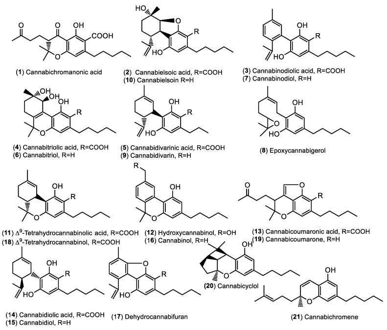 Chemical structures of cannabinoids identified in the hemp extracts.