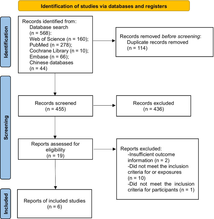 A flowchart of literature screening and the selection process.