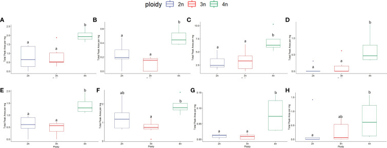 Boxplots of the total peak area per mg flower dry weight of 8 compounds with the highest VIP score in an OPLS-DA analysis separating ploidy levels of a headspace GC-MS analysis of diploid (2n), triploid (3n) and tetraploid (4n) plants of Cannabis sativa L. cultivar B. ANOVAs were performed to assess the differences between ploidy levels for this cultivar in the case of non-parametric data the non-parametric alternative Kruskal-Wallis rank sum tests was performed, for results see Table 4 . Different letters above bars indicate significant differences at p<0.05 of an ANOVA and Tukey post-hoc analysis or a Kruskal-Wallis and an all-pairs Dunn test. (A) β-Maaliene, (B) endo-Borneol, (C) Caryophyllene, (D) 3-Carene, (E) L-α-Terpineol, (F) Fenchol, (G) β-Thujene, (H) trans-2-Pinanol.