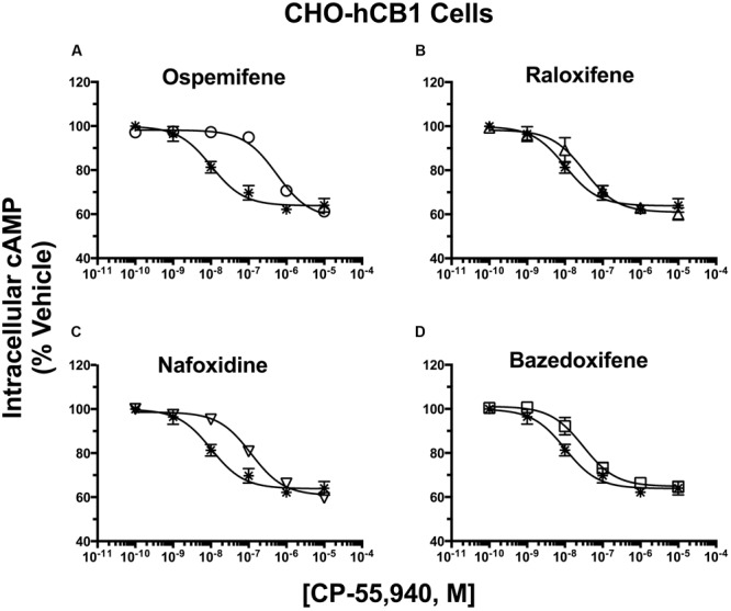 Selective estrogen receptor modulators produce surmountable antagonism of CP-55,940 inhibition of adenylyl cyclase in CHO-hCB1 cells. CHO-hCB1 cells were pre-incubated for 30 min with receptor saturating concentrations of individual SERMs and were subsequently co-incubated for 7 min with increasing concentrations of CP-55,940. Measurements of CP-55,940 effects alone on potency (IC50) and efficacy (IMAX) of intracellular cAMP were obtained and were compared to the shifts in IC50 and IMAX values observed by co-incubation with individual SERMS: (A) Ospemifene, (B) Raloxifene, (C) Nafoxidine, and (D) Bazedoxifene. All IC50, IMAX and Kb values (mean ± SEM) were derived from non-linear regression analysis of the curves shown and are presented in Table 4 with statistical analysis. Asterisk symbols represent the concentration-effect curve for CP-55,940 alone, while open symbols the action of CP-55,940 in the presence of the SERM indicated.