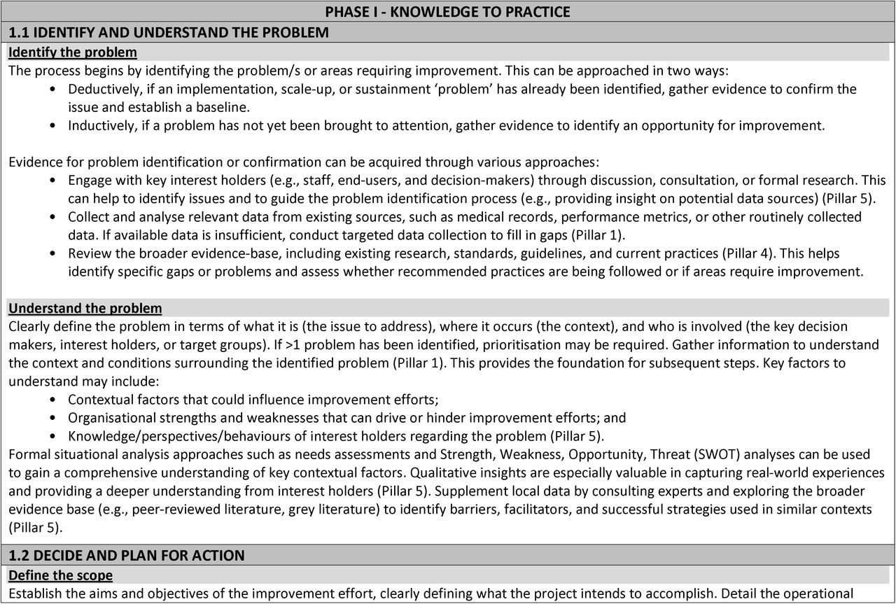 Steps used across a three-phase Learning Health System improvement cycle