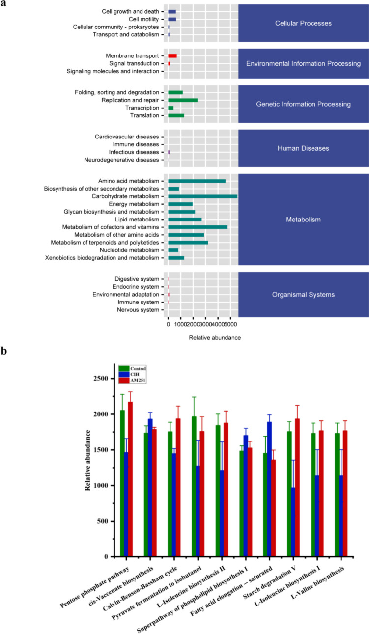 Correlation analysis of intestinal microbiota and metabolic pathways. a The relative abundance of metabolic pathways. b Top 10 components of KEGG metabolic pathways with significant differences among all groups