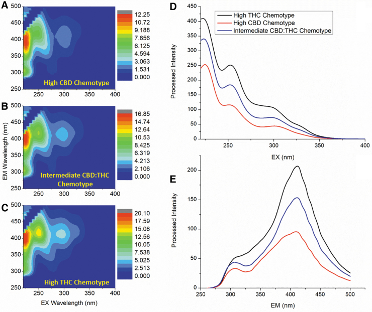 Peak-normalized A-TEEM contours (A–C) and naturally scaled integral excitation- (D) and emission-spectral (E) profiles for flower extracts of HTHC, hybrid and HCBD cannabis varieties. A-TEEM, absorbance-transmittance excitation emission matrix; HCBD, high CBD; HTHC, high THC.