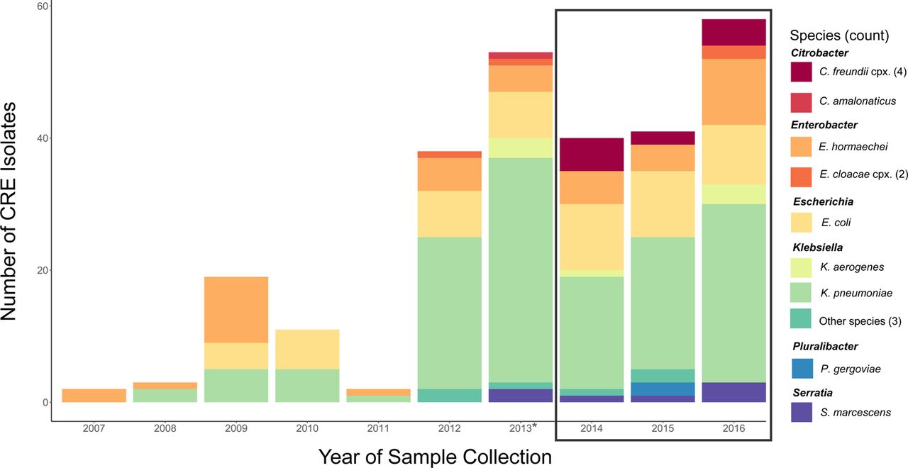 High species diversity across CRE isolates.The number of isolates collected and sequenced by year and species is shown. The black box indicates the isolates newly sequenced as part of this study, together with an additional 15 isolates from 2013 (*). All others were previously described [30].