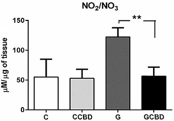 Nitrite/nitrate concentration in intestine tissue homogenate. Data are reported as means±SD C: control; CCBD: control+cannabidiol; G: gastroschisis; GCBD: gastrosquisis+cannabidiol. **P<0.005 (Kruskal Wallis).