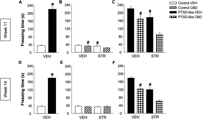Evaluation of fear-related memory at weeks 11 and 14. Analysis of the freezing time (s) by the fear conditioning paradigm between control and PTSD-like VEH-treated mice at week 11 (A) and week 14 (D). Effects of acute (week 11) and chronic (week 14) administration of CBD (20 mg/kg, i.p.) and/or STR (10 mg/kg, p.o.), or its corresponding VEH, on the freezing time (s) of control mice (B, E) and PTSD-like mice (C,F). Columns represent the means and vertical lines ± SEM. *, Values from PTSD-like VEH-treated mice that are significantly different from control VEH-treated mice (Student’s t-test, p < 0.001). #, Values from CBD- or STR-treated groups that are significantly different from VEH-treated mice (Two-way ANOVA, p < 0.05). and, Values from CBD plus STR-treated mice that significantly different from CBD- and STR-treated control (Two-way ANOVA, p < 0.05) and PTSD-like mice (Two-way ANOVA, p < 0.001). Mice exposed to the PTSD-like model: N(VEH) = 10, N(CBD) = 10, N(STR) = 9, N(CBD plus STR) = 10; control mice: N(VEH) = 10, N(CBD) = 9, N(STR) = 9, N(CBD plus STR) = 10.