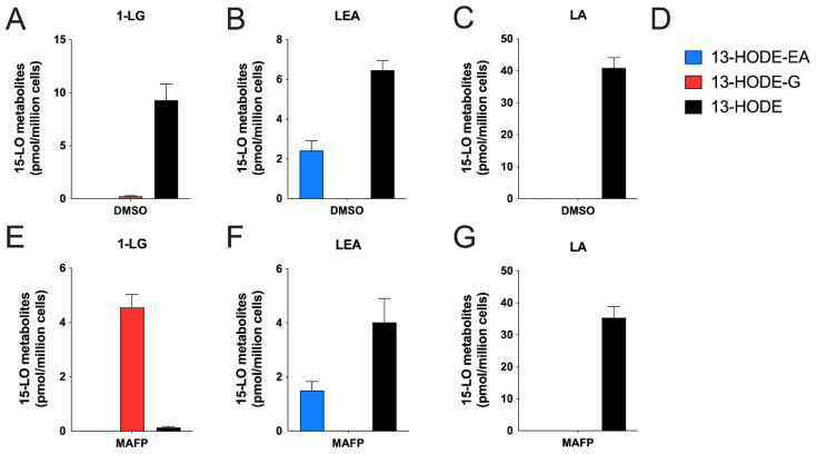 15-LO metabolite production in response to LA, 1-LG, or LEA by human neutrophils. Pre-warmed human neutrophil suspensions (37 °C, 5 × 106 cells/mL in HBSS containing 1.6 mM CaCl2) were pre-treated with DMSO (A–C) or MAFP (E–G) for 5 min before the addition of 3 μM of either (A,E) 1-LG, (B,F) LEA, (C,G) LA. (D) Metabolite legend for panels A–G. Incubations were stopped after 5 min by the addition of one volume of cold (−20 °C) MeOH containing the internal standards. Samples then were processed for LC-MS/MS analyses as described in methods. Results are the mean (±SEM) of 4 independent experiments.