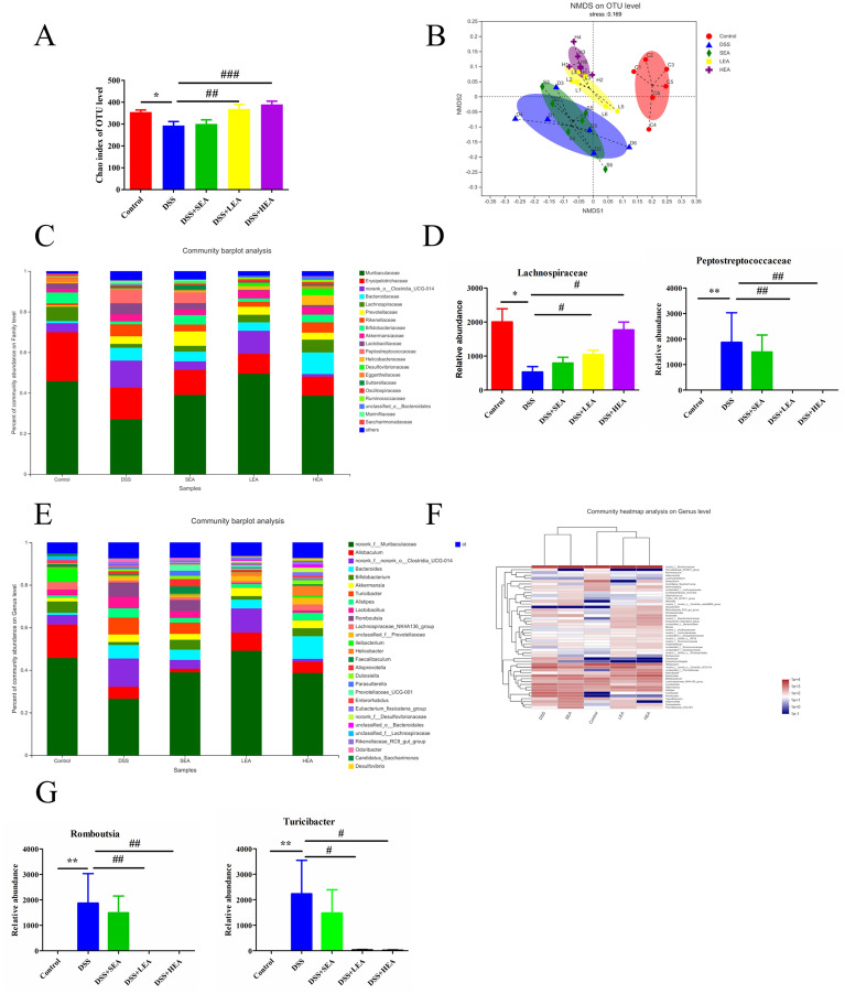 EA remodeled the gut microbiota. A The alpha diversity (Chao index). B The NMDS plots of unweighted UniFrac distances of beta diversity. C, D Relative abundance of microbes at the family level. E–G Microbial relative abundance at the genus level. (N = 6 mice per group, *P < 0.05, **P < 0.01 vs. the control group; ##P < 0.01, ###P < 0.001 vs. the DSS group)