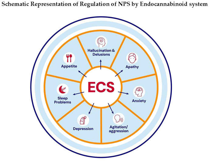 Schematic diagram showing the regulation of various conditions by the endocannabinoid system (ECS). It includes appetite, hallucination and delusions, apathy, anxiety, agitation or aggression, depression, and sleep problems, all connected to a central ECS hub.
