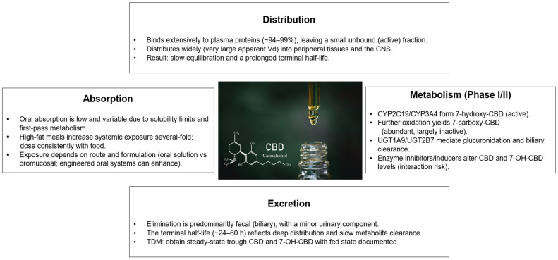 Cannabidiol Pharmacokinetics: Absorption, Distribution, Metabolism, and Excretion.