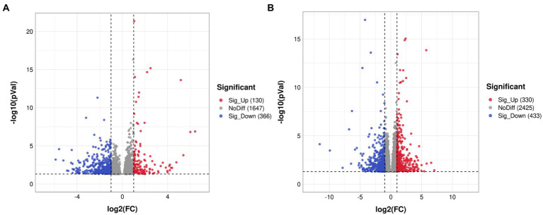 Volcano plots showing distribution trends for differentially expressed genes (n = 4 per group). (A) SMPS and VPA groups; (B) SMPS and C groups. Red and blue dots indicate up- and downregulated DEGs, respectively; gray dots indicate that the genes were not differentially expressed.