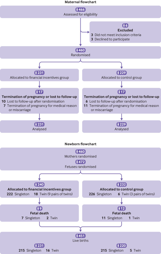 Flow of pregnant smokers and their offspring through the study