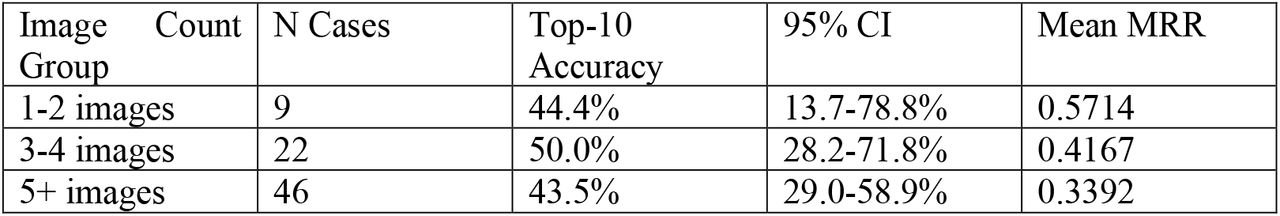 Performance by Image Count Group