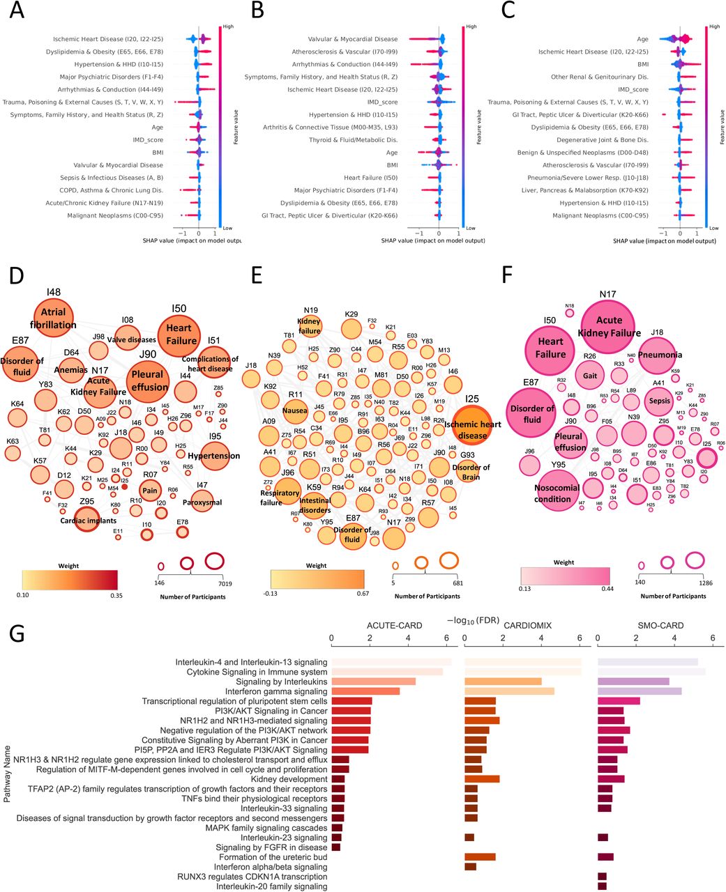 SHAP-based feature interpretation, network connectivity, and pathway enrichment across the profilesColour bars indicate relative feature values (high to low); red points denote higher feature values and blue points denote lower values, with horizontal position reflecting SHAP impact. (A–C) SHAP summary plots for ACUTE-CARD, CARDIOMIX, and SMO-CARD showing the top 20 features ranked by mean absolute SHAP value. (D–F) Network analyses of the top 50 ICD codes associated with the ACUTE-CARD, CARDIOMIX, and SMO-CARD LDA topics. Node size reflects prevalence; edges represent co-occurrence; border thickness indicates correlated weight. (G) Pathway enrichment of the top 20 biological processes associated with the top 50 ICD codes from the dominant LDA topic, stratified by profile.