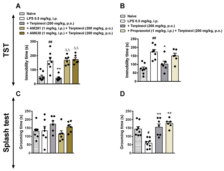 Involvement of CB1 and CB2 cannabinoid receptors and β-adrenergic receptors in the terpineol antidepressant-like effect in the tail suspension test (TST: A,B) and splash test (ST: C,D). Mice were treated with a selective CB1 cannabinoid receptor antagonist/inverse agonist (AM281: 1 mg/kg, i.p.—left panel), a potent and selective inverse agonist for the CB2 cannabinoid receptor (AM630: 1 mg/kg, i.p.—left panel) or with the β-adrenoceptor antagonist propranolol (2 mg/kg, i.p.—right panel). After 30 min the animals received terpineol (200 mg/kg, p.o.), and 1 h later they were treated with LPS (0.5 mg/kg, i.p.). After 24 h of LPS administration, the behavioral analyses were performed. The data are presented as the mean ± SEM of six to eight mice/group, with black dot showing individual mice. Differences between groups are indicated: *p < 0.05 and **p < 0.01 compared to the LPS group; # p < 0.05 and ## p < 0.01 compared to the naïve group; ΔΔp < 0.01 compared to the terpineol group.