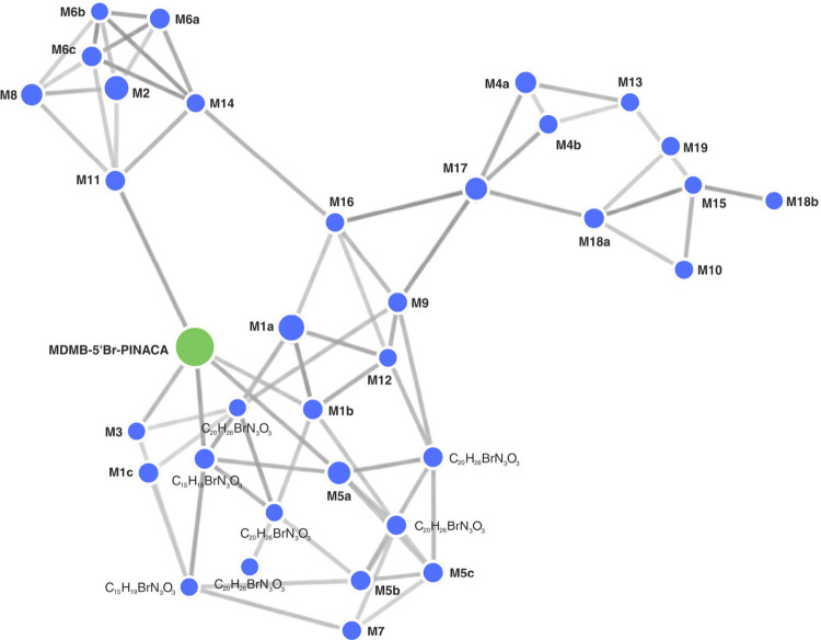 MS2-based molecular network of MDMB-5′Br-PINACA metabolites generated from LC-HRMS data after incubation in pooled human liver microsomes (pHLM). The network comprises 34 nodes, including 27 metabolites detected exclusively in incubation samples and 7 features also present in negative controls. The cosine similarity threshold was set to 0.4. Node size is proportional to feature intensity (peak area), and edge thickness reflects the cosine similarity score between MS2 fragmentation spectra, with darker edges indicating higher spectral similarity.