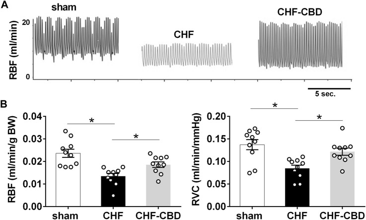 Reductions in Normoxic Renal Blood Flow in CHF are Attenuated by CBD. Shown in panel (A) are representative tracings of renal blood flow in one sham, one CHF, and one CHF-CBD rat. Shown in panel (B) are summary data illustrating the effect of CBD on RBF and conductance (RVC) in CHF. Note significant reductions in RBF&RVC in CHF that are attenuated by CBD. Results are expressed as mean ± SEM. n = 10 animals per group. *p < 0.05 vs. sham via ANOVA with Sidak-Holm multiple comparison tests.