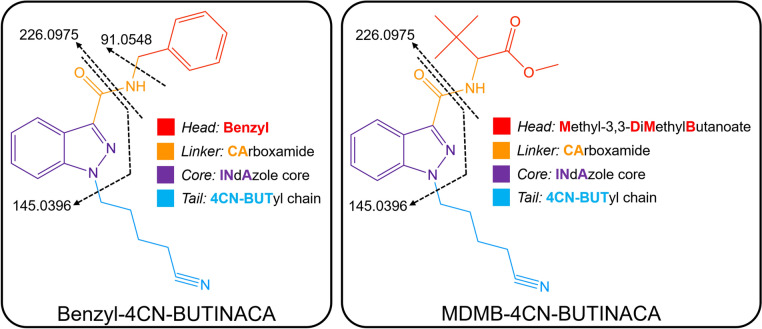 Structures of SCRAs examined in this study, Benzyl-4CN-BUTINACA and MDMB-4CN-BUTINACA, where the four structural moieties are indicated by color and the fragmentation patterns are indicated in black with dashed arrows (color figure online)