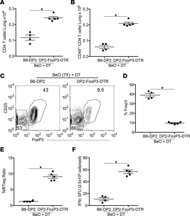 Depletion of Tregs in HLA-DP2-FoxP3-DTR Tg mice alters the Teff/Treg ratio and the number of IFN-γ–secreting T cells in the lung.(A and B) Number of CD4+ T cells (A) and effector CD44+CD4+ T cells (B) in the lungs on day 21 in HLA-DP2 Tg and HLA-DP2-FoxP3-DTR Tg mice sensitized and boosted with 7 (7×) doses of BeO on days 0, 1, 2, 14, 15, 18, and 19, and treated with 1 μg of diphtheria toxin (DT) on days 18 and 19 is shown. (C and D) Representative contour plots (C) and the cumulative frequency (D) of CD25+FoxP3+ Tregs on day 21 in the lungs of HLA-DP2 Tg (left contour plot) and HLA-DP2-FoxP3-DTR Tg mice (right contour plot) after DT treatment. (E) Ratio of CD44+ Teffs/CD25+FoxP3+ Tregs in the lungs of HLA-DP2 Tg and HLA-DP2-FoxP3-DTR Tg mice exposed with multiple doses of BeO and analyzed at day 21. (F) IFN-γ secretion by CD4+ T cells purified from the lungs of HLA-DP2 Tg and HLA-DP2-FoxP3-DTR Tg mice exposed to multiple doses of BeO, harvested at day 21, and stimulated with BeSO4 (100 μM) in the presence of irradiated naive splenocytes for 24 hours. Data (mean ± SEM) are representative of 3 independent experiments (4–5 mice per group). Significance was determined by Mann-Whitney U test. *P < 0.05.