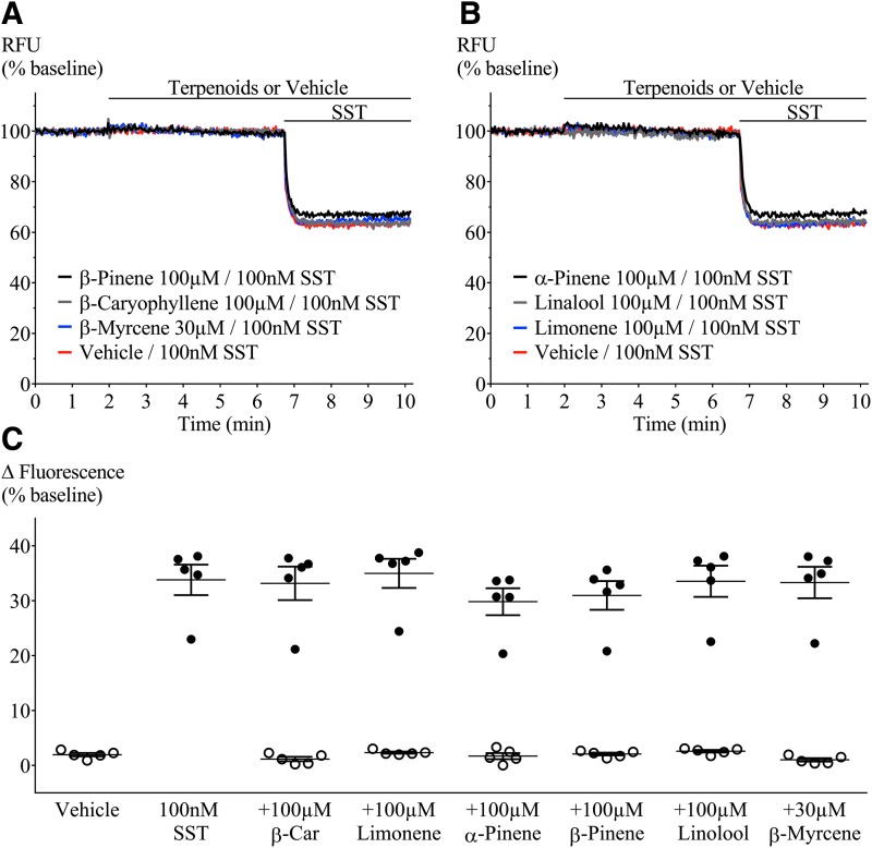 Terpenoid- and SST-mediated fluorescence change in AtT20-WT. Representative traces showing change in fluorescence signal after terpenoid and SST (100 nM) application. A decrease in signal corresponds to membrane hyperpolarization. Addition of terpenoids (A) β-pinene, β-caryophyllene, and β-myrcene; (B) α-pinene, linalool, and limonene did not change baseline fluorescence, while SST mediated a clear hyperpolarization. (C) Percentage change of fluorescence from baseline after each terpenoid (open circles) and SST (closed circles) application. Terpenoids were added at 2 min; 5 min before SST. When compared with positive (SST) or negative (vehicle) controls, none of the terpenoids tested affected baseline membrane potential or peak SST response. β-Car=β-caryophyllene. n=5, SEM, one-way ANOVA p>0.05. Drugs were added for the duration of the bar. ANOVA, analysis of variance; SEM, standard error of the mean; SST, somatostatin.