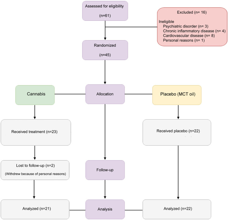 Flowchart depicts a randomized study. Sixty-one participants were assessed; sixteen were excluded due to various reasons. Forty-five were randomized into two groups: Cannabis (n=23) and Placebo (n=22). Two from the Cannabis group were lost to follow-up. Ultimately, twenty-one from Cannabis and twenty-two from Placebo were analyzed.