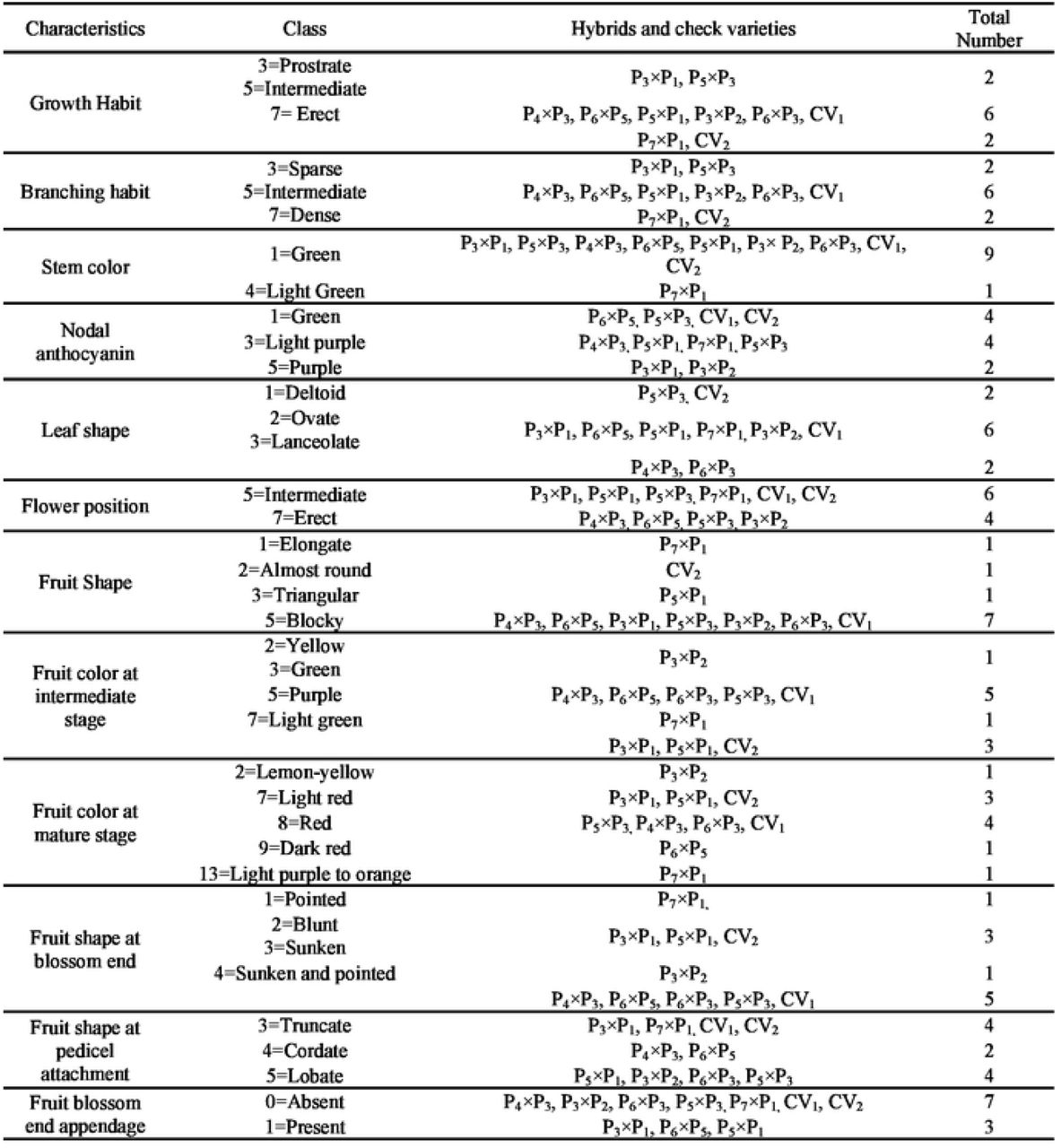 Classification and Morphological Characteristics of Sweet Pepper Hybrids and Check Varieties