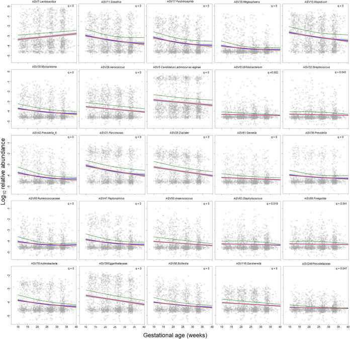 Changes in the relative abundance of amplicon sequence variants (ASVs) in vaginal 16S rRNA gene profiles across gestational age in women who ultimately delivered at term. Only the first ASV for each microbial taxon with a significant corrected P value (q < 0.05) presented in Table S1 is shown. Panels with positive correlations are ordered before those with negative correlations. Each dot within an individual panel corresponds to one sample. The red lines represent linear fits through relative abundance data using linear mixed-effects models. The blue lines and gray bands represent the model fits and 95% confidence intervals derived from generalized additive models, respectively. The green lines represent the estimates from negative binomial mixed-effects generalized additive models.
