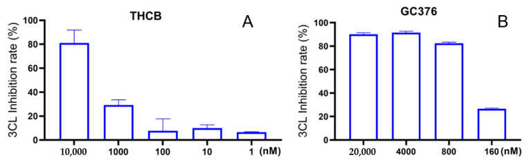 The concentration-dependent anti-Mpro activity of THCB (A) and the positive control GC376 (B) measured by a biochemical assay.