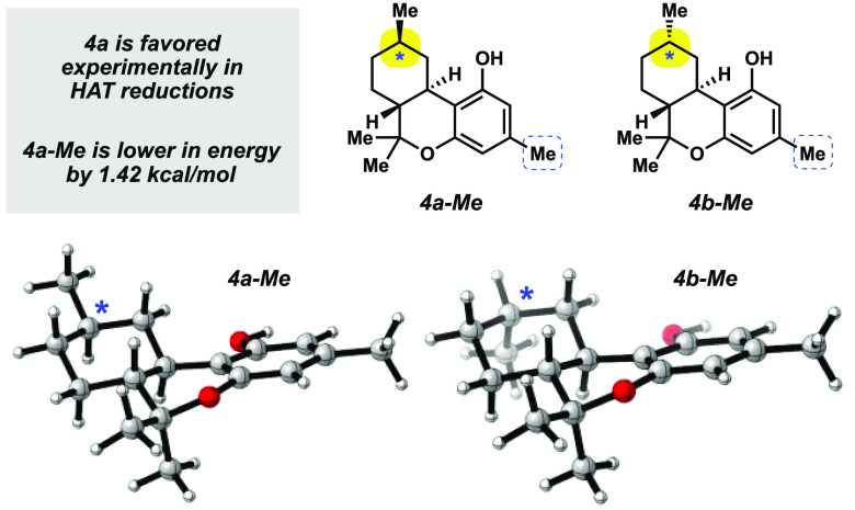 Lowest energy conformers for 4a-Me and 4b-Me. Structures are displayed by using CYLview.