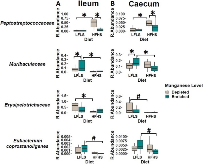 Effect of Mn‐depleted and Mn‐enriched LFLS or HFHS diets on the relative abundance of bacteria at the family rank in either the ileum or caecum. Effect of Mn in interaction with LFLS and HFHS formulations on intestinal microbial families. Ileum (A) and caecum (B). Data are expressed as the mean ± SEM (n = 12). p values of linear contrast analysis are detailed in the bottom when significant (p < 0.05) using contrast tests between enriched and depleted Mn levels, LFLS and HFHS formulations and the combination between Mn levels and formulations. The star “*” symbol was used to show the effect of Mn alone or interaction with LFLS or HFHS. The numeral “#” symbol was used to denote the effect of only LFLS or HFHS. The samples are at Day 28 of the study.