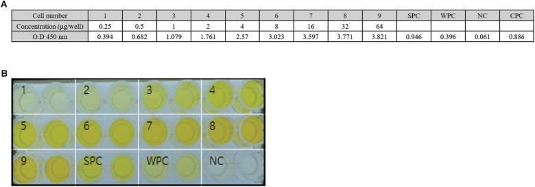 E2 fusion protein produced in Nicotiana benthamiana is recognized by an antibody to E2 of classical swine fever virus. (A) Quantification of the reactivity of plant-produced E2 fusion protein (ppE2) with anti-E2 antibody. Purified ppE2 was serially diluted and analyzed by ELISA, along with a strong protein control (SPC) and a weak protein control (WPC), with measurement of signal intensity at A450. (B) Visualization of the reactivity of ppE2 with anti-CSFV E2 antibody. Purified ppE2 was added to wells of an anti-CSFV E2 antibody-coated plate, and the reactivity was visualized using 3,3′,5,5′-Tetramethylbenzidine as substrate. Lanes 1–9, purified ppE2; SPC, strong positive control; WPC, weak positive control; NC negative control.