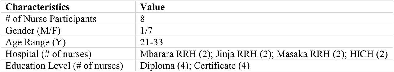 Nurse Participant Demographics (Individual Interviews)