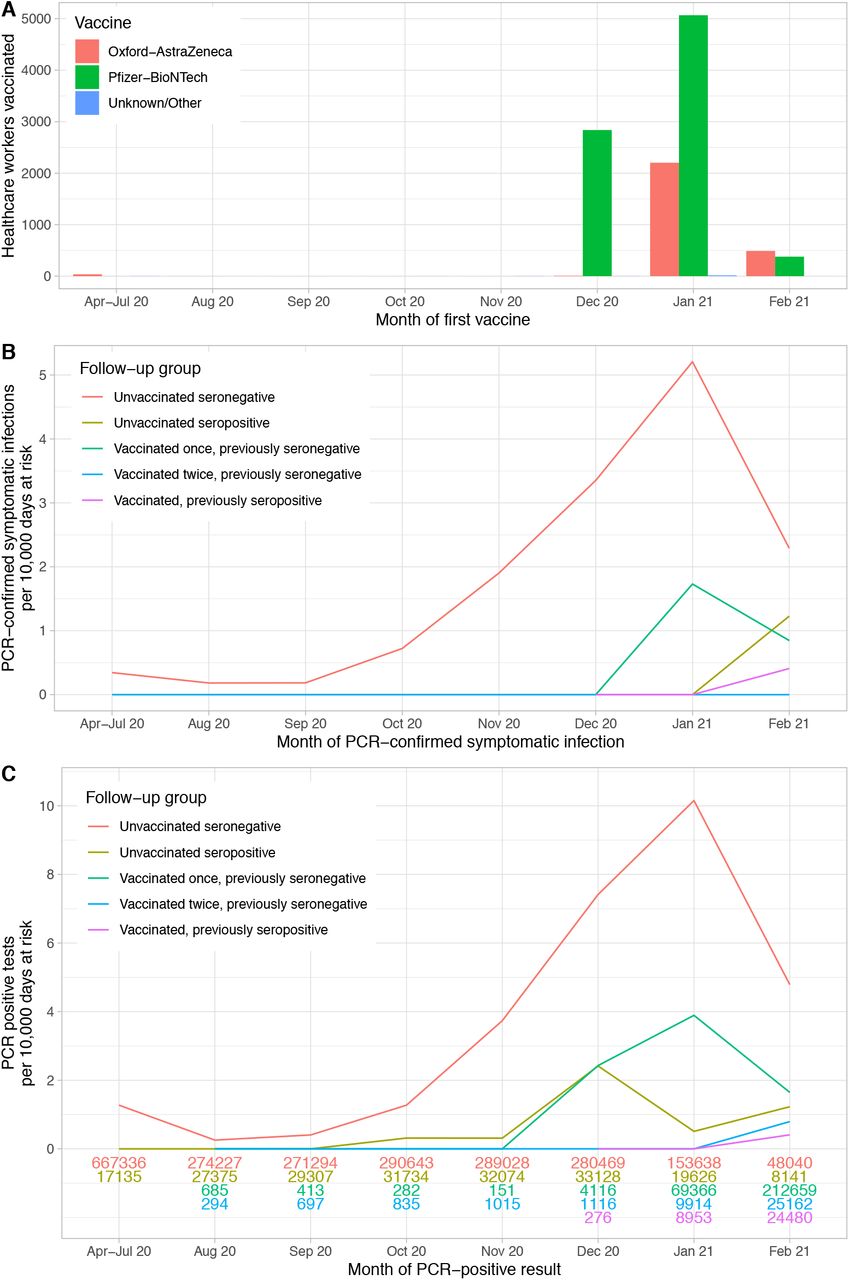 Vaccination timings (panel A) and observed incidence of symptomatic PCR-confirmed SARS-CoV-2 infection (panel B) and any PCR-positive result (panel C) by antibody and vaccine status.Some staff members received the Oxford-AstraZeneca vaccine in clinical trials beginning 23-April-2020 and were included following unblinding if in the active arm. The number of days at risk per month for each follow-up group is shown at the bottom of panel C. Due to small numbers rates are not plotted for vaccinated individuals prior to August 2020.