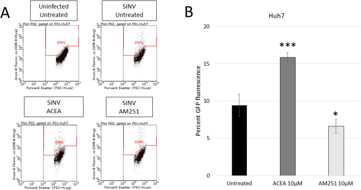 Effect of ACEA/AM251 treatment on SINV-infected Huh7 cells. (a) Flow cytometry data of uninfected and Sindbis virus infected cells that are untreated, ACEA treated (10 μM), or AM251 treated (10 μM). Each dot represents a single cell in the assay (b) quantification of results from 3A. ACEA treatment increased the cells that are infected and AM251 decreased the cells that are infected