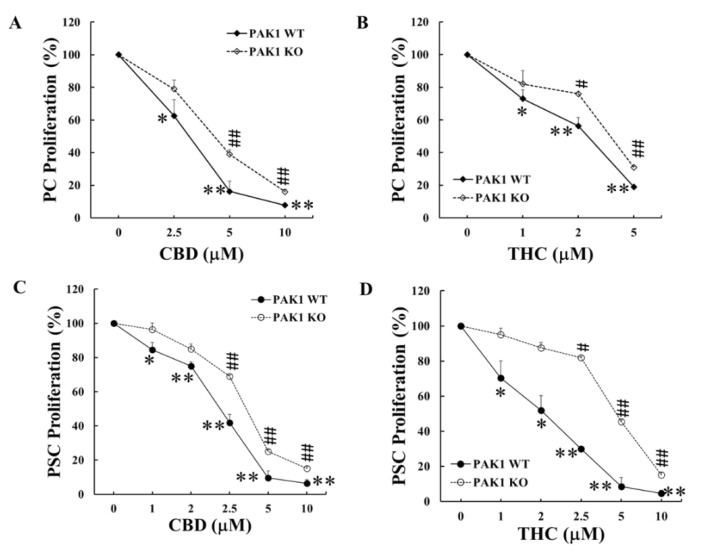 PAK1 knockout reduced the inhibition of CBD or THC on proliferation of PC and PSC cells. PAK1 wild type (WT) and knockout (KO) pancreatic cancer (PC) (A,B) or pancreatic stellate cells (PSC) (C,D) were treated with CBD (A,C) or THC (B,D) for 48 h. Cell proliferation was determined by MTT assay. The values from non-treated controls of either PAK1 WT or KO cells were taken as 100% for the respective cell line. The data were summarized from three independent sets of experiments. *, p < 0.05; **, p < 0.01 compared to PAK1 WT control. #, p < 0.05; ##, p < 0.01 compared to PAK1 KO control.