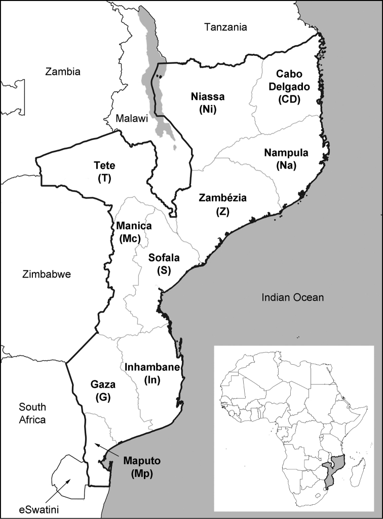 Map of Mozambique showing the ten provinces and neighbouring countries. Provincial borders are shown in pale grey, country borders are in black.