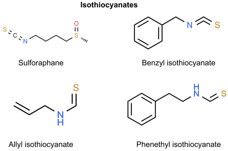 Chemical structures of selected isothiocyanates showing anti-NMSC effect.