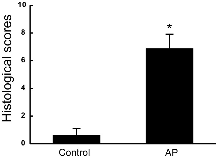 Histological scores for pancreas sections of the control and AP rats.After the induction of acute pancreatitis, rats were sacrificed and organs were harvested. Using the harvested pancreas, histological slides were prepared, stained, examined under microscopy, and scored, as described in MATERIALS AND METHODS. The data are expressed as mean ± SEM (n = 6), *P<0.01 vs control group.
