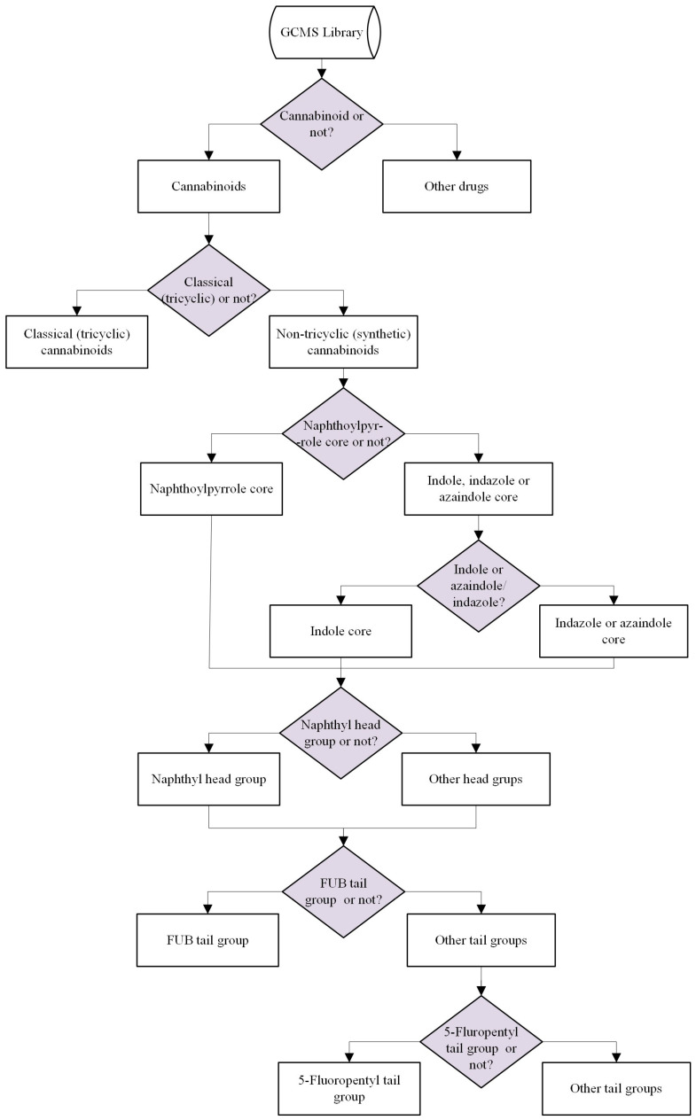 General overview of the binary classification system.