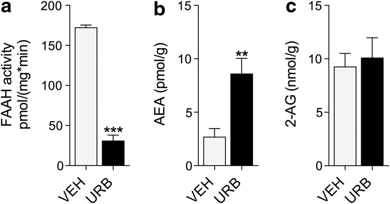 URB597 inhibits FAAH and elevates anandamide levels in the forebrain of BTBR mice. (a) FAAH enzymatic activity, (b) anandamide (AEA) levels, and (c) 2-arachidonoyl-sn-glycerol (2-AG) levels after treatment with URB597 (1 mg kg−1, i.p.). **p<0.01; ***p<0.001; ANOVA.