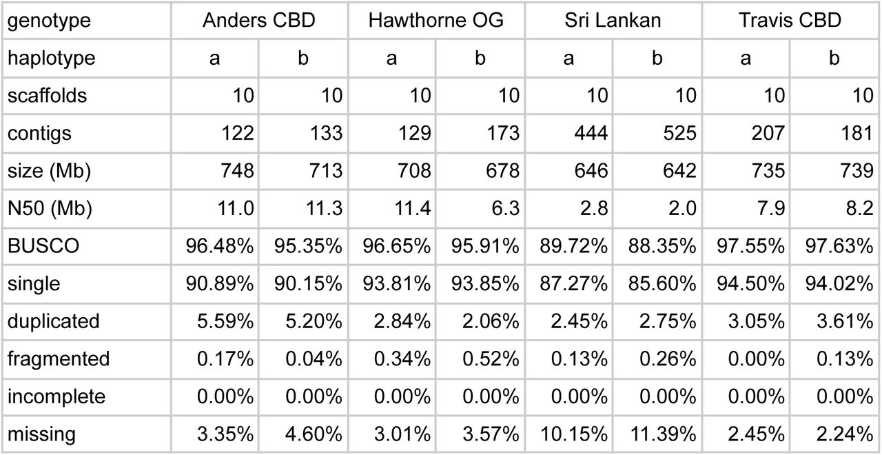Essential statistics for the eight assemblies.
