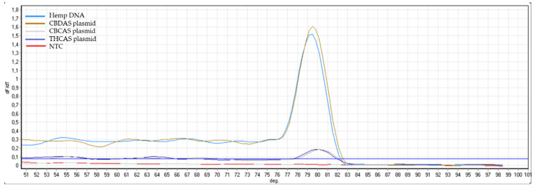 Melting curve plots, which display data collected during a melting curve stage with primers CBDAS_F and CBDAS_R. Peaks in the melting curve may indicate the melting temperature (Tm) of a target or identify nonspecific PCR amplification. No peaks were seen for the no template control (H2O) and for negative controls (THCAS plasmid and CBCAS plasmid).