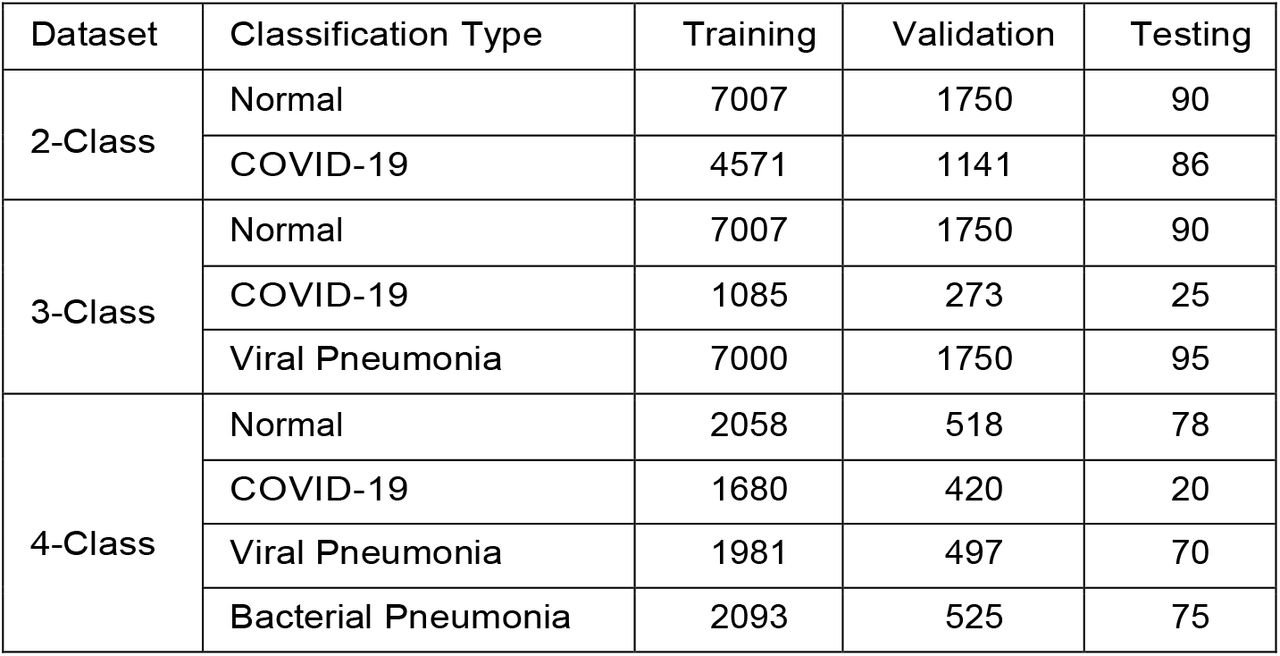 Number of X-ray images used after data augmentation strategy.