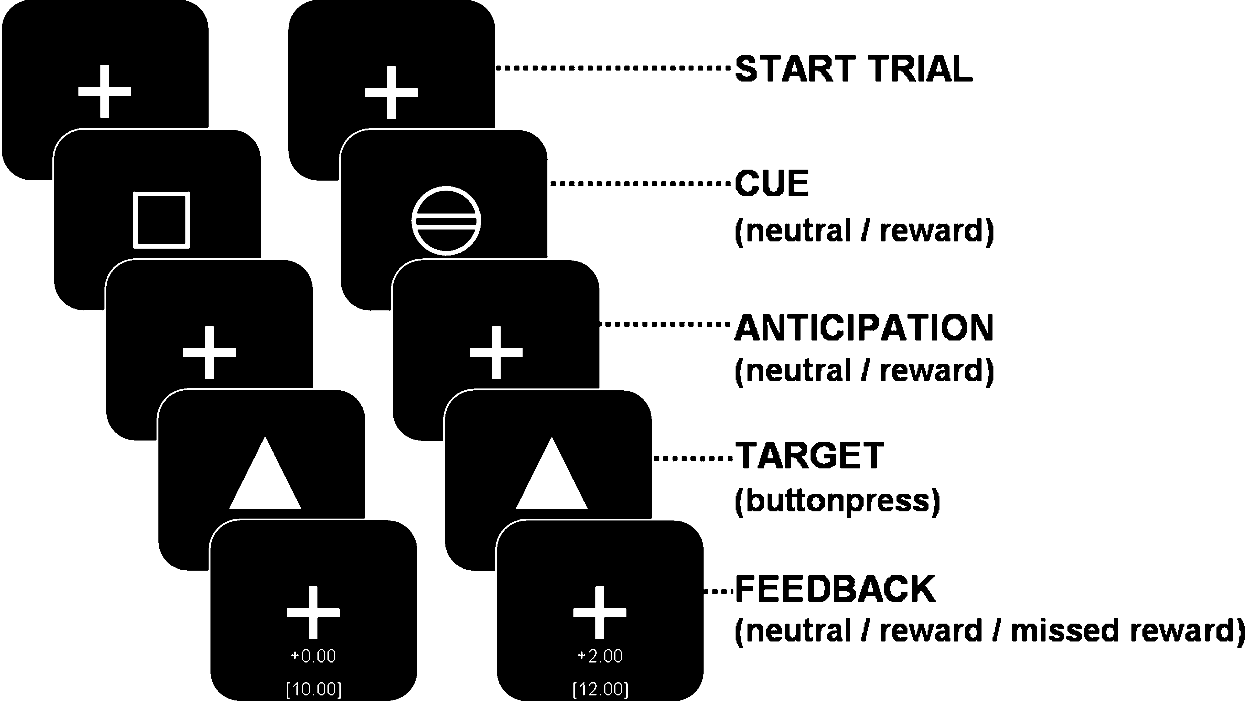 MID paradigm (see also Van Hell et al. (2010))