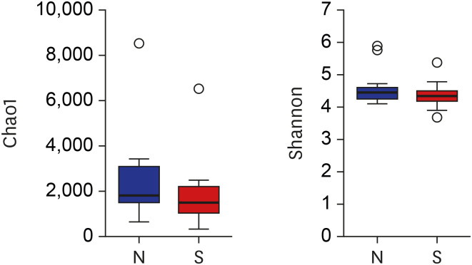 Alpha diversity values of patients with a pigment stone (S) and controls (N). Alpha diversity including Chao1 and Shannon index.N = none, S = stone.