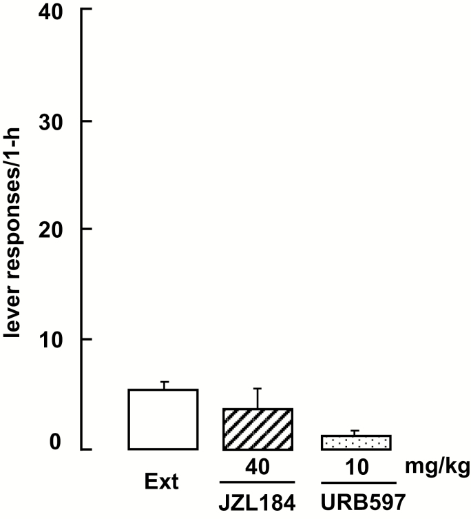 Effects of JZL184 and URB597 on lever pressing behavior in methamphetamine (METH) withdrawal rats. Rats were pretreated with JZL184 (40 mg/kg, i.p.) or URB597 (10 mg/kg, i.p.) 2 or 1 hour before the start of the session, respectively. Each bar represents the mean (±SEM) number of presses on the previously active lever during the 1-hour session. n=5–6 rats per group.